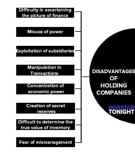 Disadvantages of Holding Companies