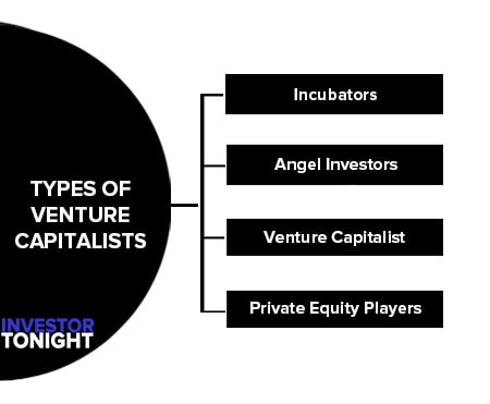 Types of Venture Capitalists